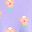 Purple Simple Pansy