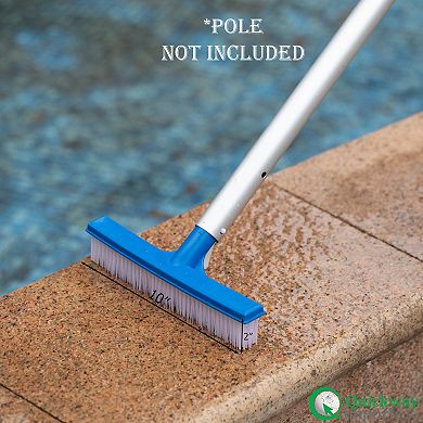 Quickway Imports 10-inch Bristle Brush Head Designed to Clean Walls Floors Steps & Corners for Pool