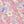 Pink Purple