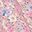 Pink Purple