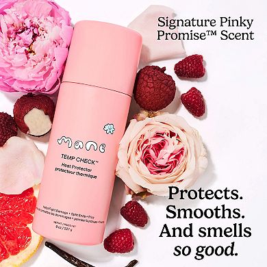 Temp Check Anti Frizz Heat Protectant