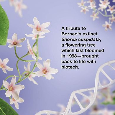 Leave-In Molecular Repair Hair Mask