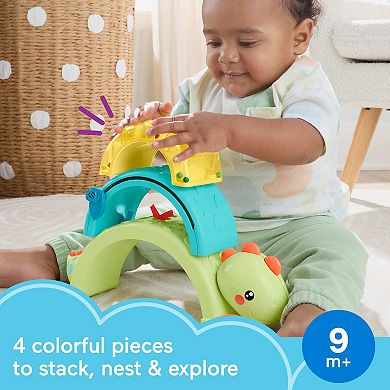 Fisher-Price 5-pc. Dino Baby Basics Developmental Activity Toy Set