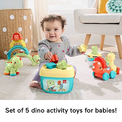 Fisher-Price 5-pc. Dino Baby Basics Developmental Activity Toy Set