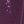 Dark Berry