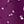 Dark Berry Ditsy