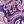 Violet Floral Scroll