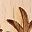 Wood Color Grass