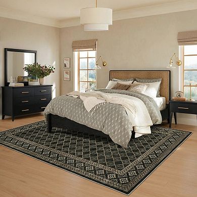 Garvee Machine Washable Geomeric Area Rug Non Slip Stain Resistant Rug for Living Room Bedroom