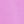 Aster Pink