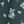 Forest Dainty Floral