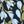 Navy Bloom Floral
