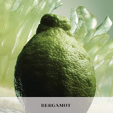 Paradigme Eau de Parfum with Bergamot