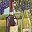 Wine Grape