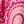 Fuschia