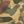 Sand Painterly Camo