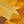 Genuine Citrine