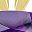 Genuine Amethyst