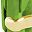 Genuine Peridot