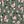 Olive Pink Natural