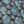 Sterling Blue