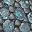 Sterling Blue
