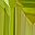 Peridot