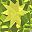 Peridot