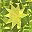 Peridot