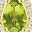 Peridot