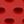 Black Red