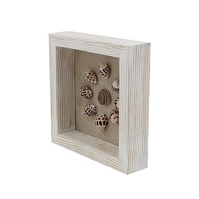 Everyday Decor Framed Seashell Tabletop Art
