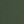 Pine