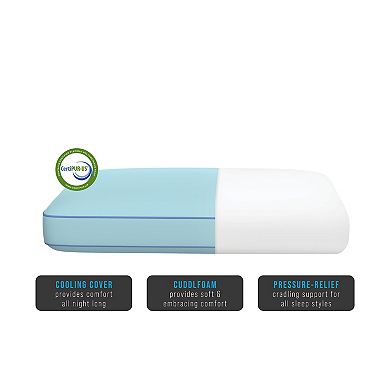 BodiPedic Gusseted Memory Foam Bed Pillow
