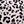 Leopard Print