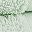Silt Green