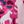 Pink Ice Uniflauge