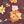 Burgundy Multi