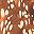 Leopard Multi