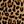 Neutral Animal Print