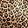 Neutral Animal Print