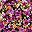 Black Painterly Floral