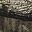 Mossy Oak