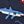 Pixel Shark