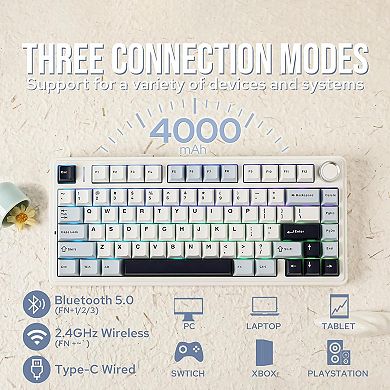 AULA F75 81-Key Wireless Hot Swappable Mechanical Gaming Keyboard, RGB, Knob, Normal/ Patterned Key