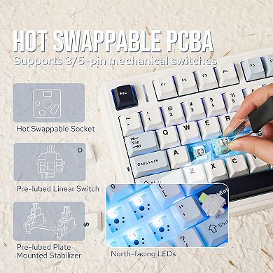 AULA F75 81-Key Wireless Hot Swappable Mechanical Gaming Keyboard, RGB, Knob, Normal/ Patterned Key