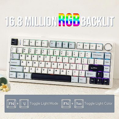 AULA F75 81-Key Wireless Hot Swappable Mechanical Gaming Keyboard, RGB, Knob, Normal/ Patterned Key