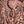 Antique Coral Paisley