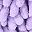 Purple With Leaf