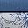 Tropical Toile Blue